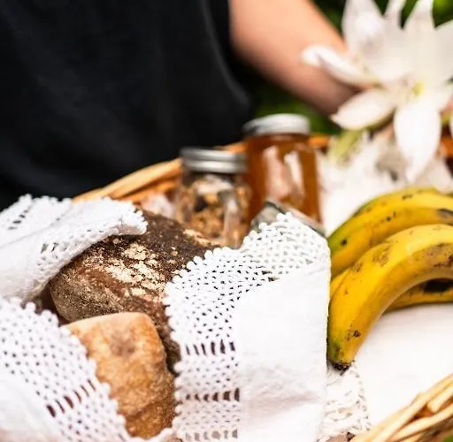 Πανσιόν Apice - By Azores 4*