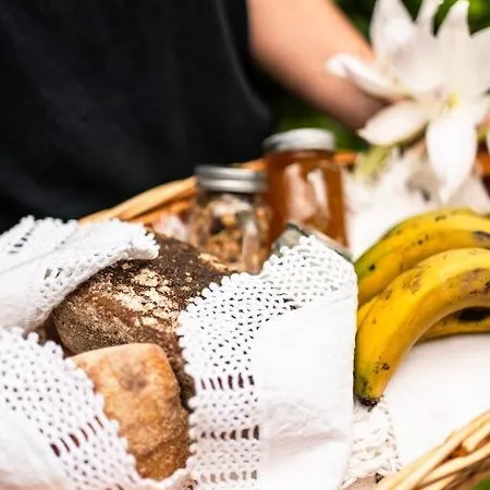 بيت ضيافة Apice - By Azores 4*